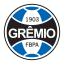 Grêmio sempre conta com times fortes e bons prognósticos para o Brasileirão.