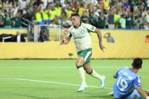 Palmeiras x Botafogo palpite: Paulinho
