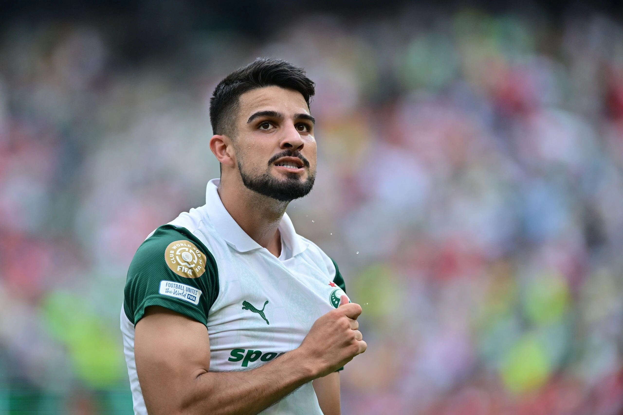 Palmeiras palpite